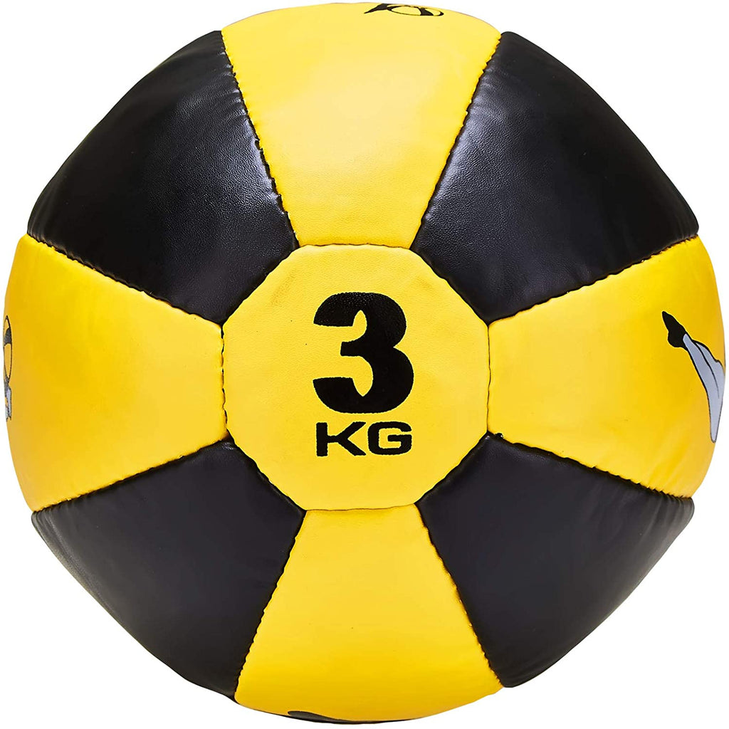 Heavy Weighted Medicine Ball Exercise Fitness Boxing MMA Training 2KG, 3KG, 5KG