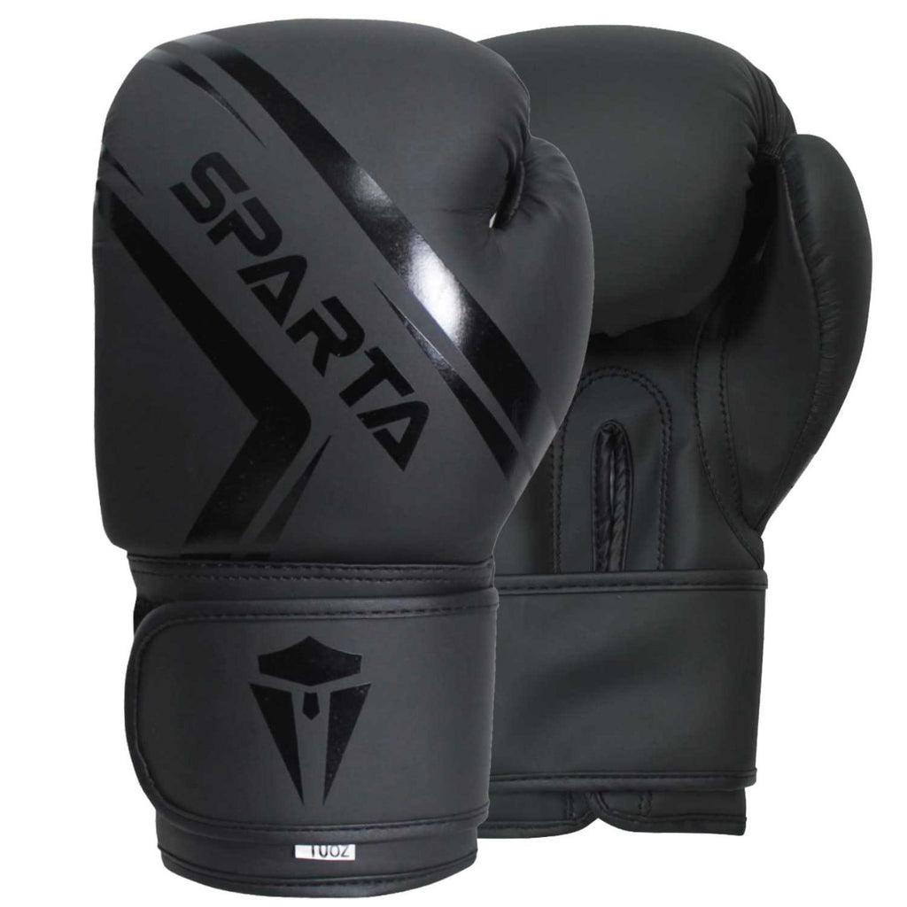 Boxing Gloves and Focus Pads Set for MMA Punch Bag Training & Fitness