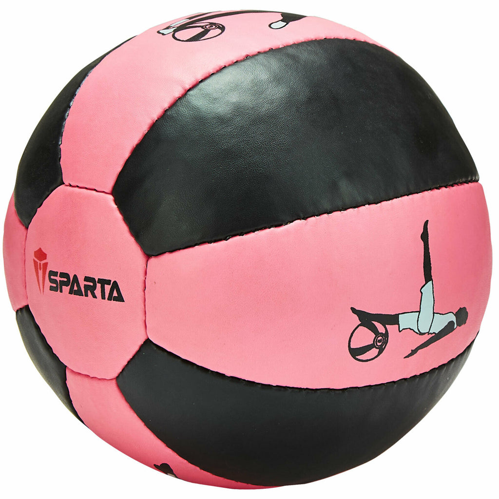 Heavy Weighted Medicine Ball Exercise Fitness Boxing MMA Training 2KG, 3KG, 5KG