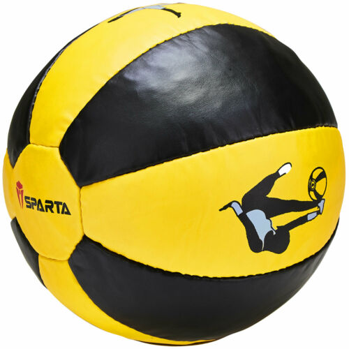 Heavy Weighted Medicine Ball Exercise Fitness Boxing MMA Training 2KG, 3KG, 5KG